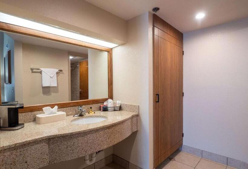 سوئیت اجرایی با تخت کینگ, Best Western Plus Saddleback Inn And Conference Center