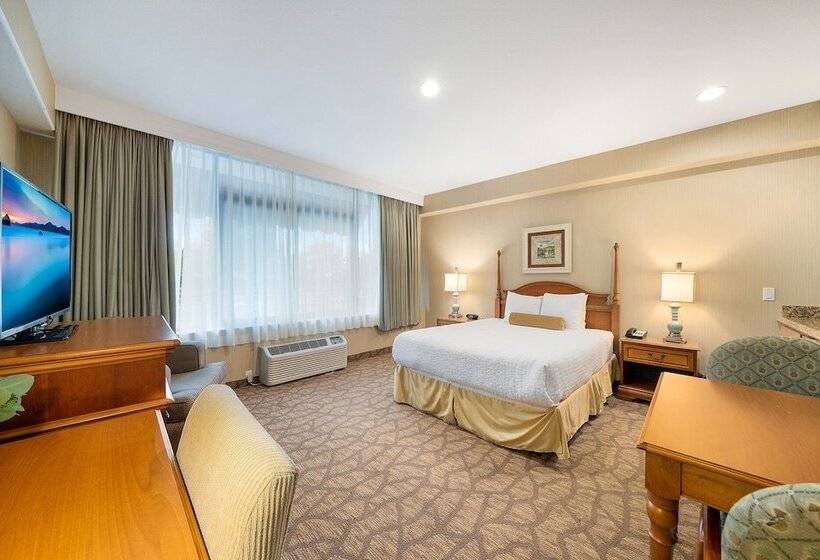 Номер Стандарт, Casablanca Inn