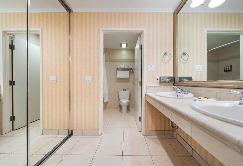 Номер Стандарт с Гидромассажем, Casablanca Inn