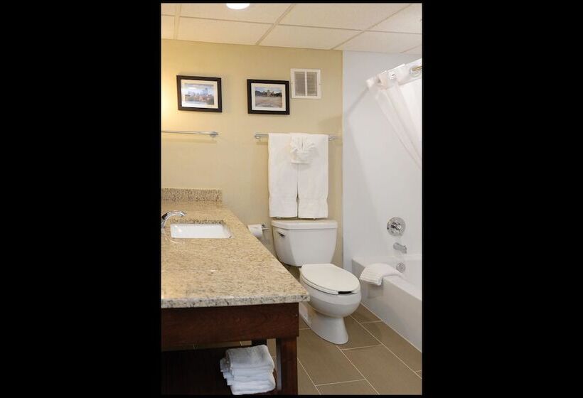 سوئیت با چشم‌انداز رودخانه, Comfort Inn & Suites Event Center