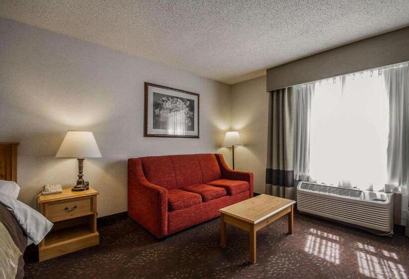 Люкс Кровать Кинг, Comfort Inn