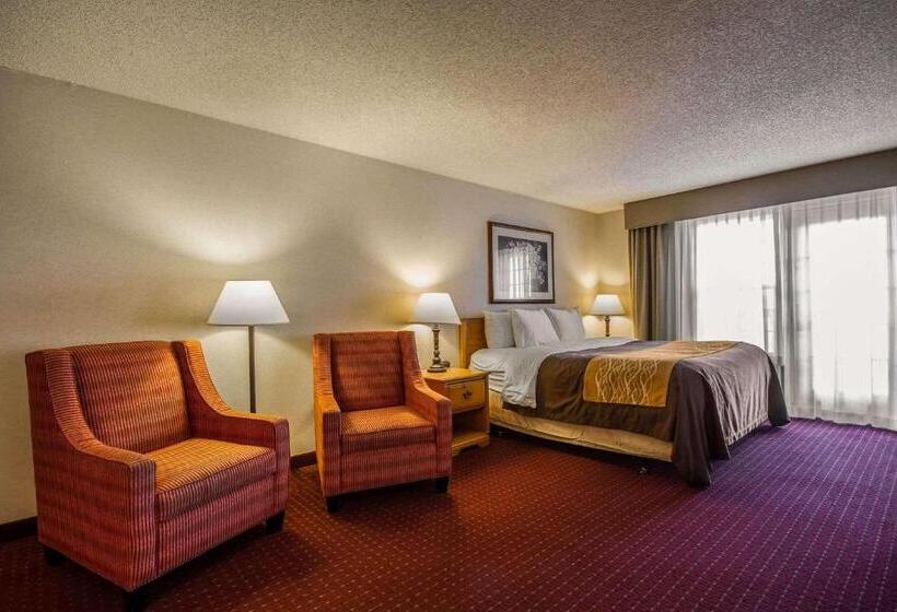 Люкс Кровать Кинг, Comfort Inn