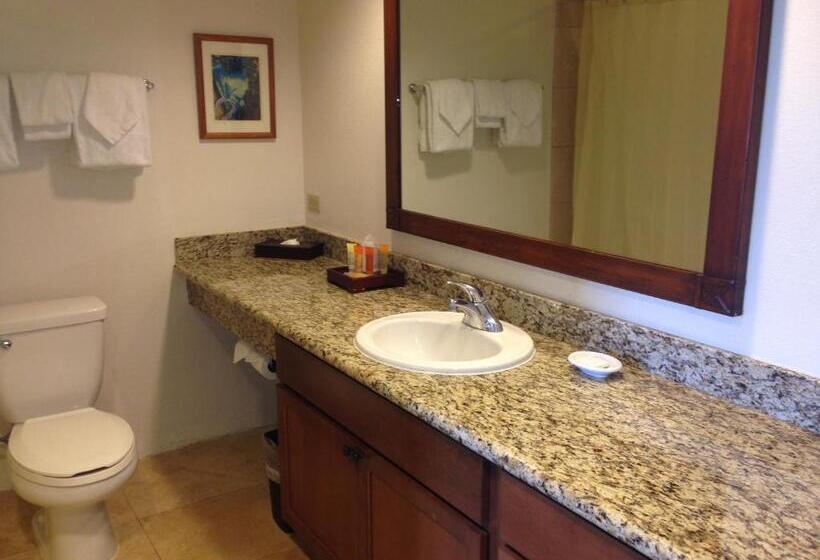 آپارتمان 1 خوابه, Luana Waikiki Hotel & Suites