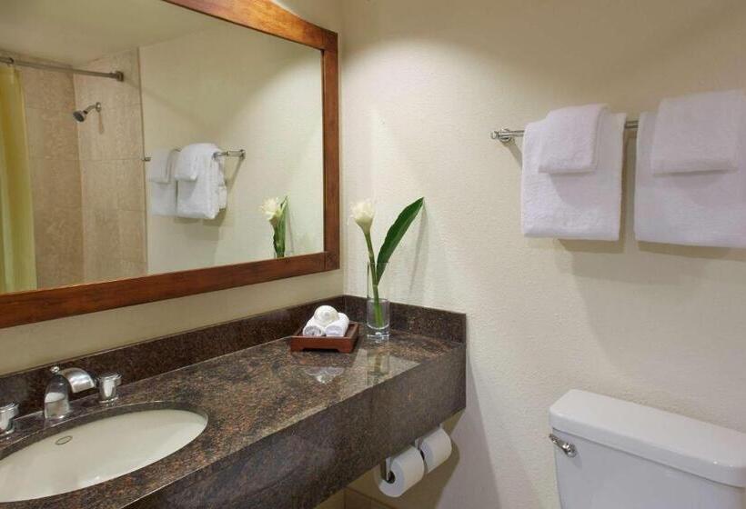 سوییت با چشم‌انداز دریا, Luana Waikiki Hotel & Suites