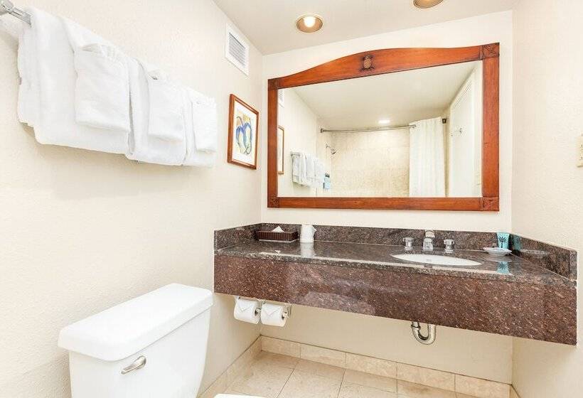 سوییت با چشم‌انداز دریا, Luana Waikiki Hotel & Suites