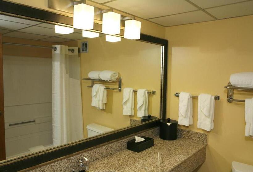 Номер Стандарт Адаптированный для Инвалидов, Best Western Plus Goldsboro