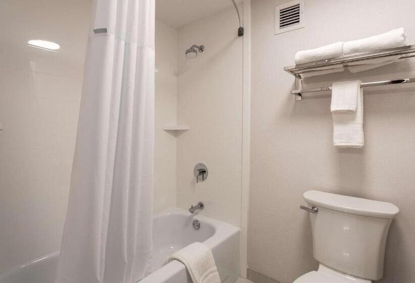 Номер Стандарт, Comfort Inn & Suites Buffalo Airport