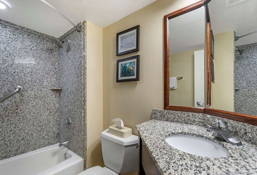 Номер Стандарт 2 Двуспальные Кровати, Comfort Inn & Suites St. Pete  Clearwater International Airport