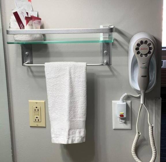اتاق استاندارد با 2 تخت دوبل, Countryside Inn & Suites Omaha East Council Bluffs Ia