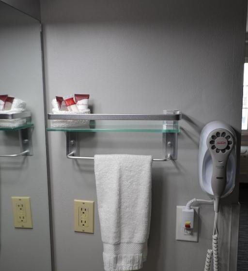 اتاق استاندارد با 2 تخت دوبل, Countryside Inn & Suites Omaha East Council Bluffs Ia