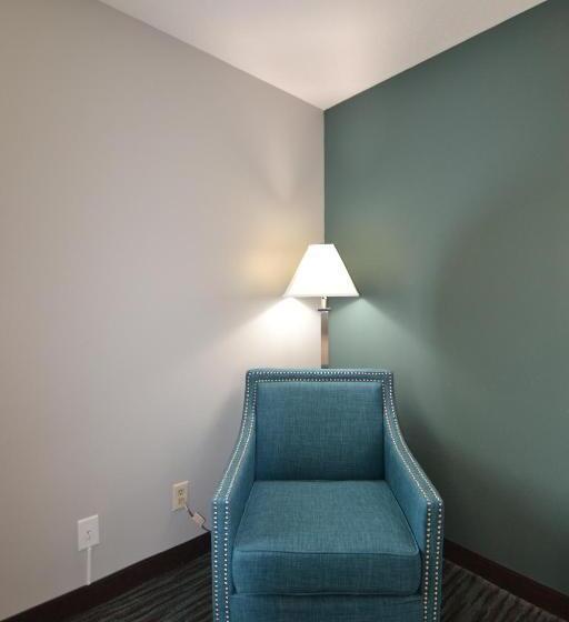 اتاق استاندارد برای معلولان, Countryside Inn & Suites Omaha East Council Bluffs Ia