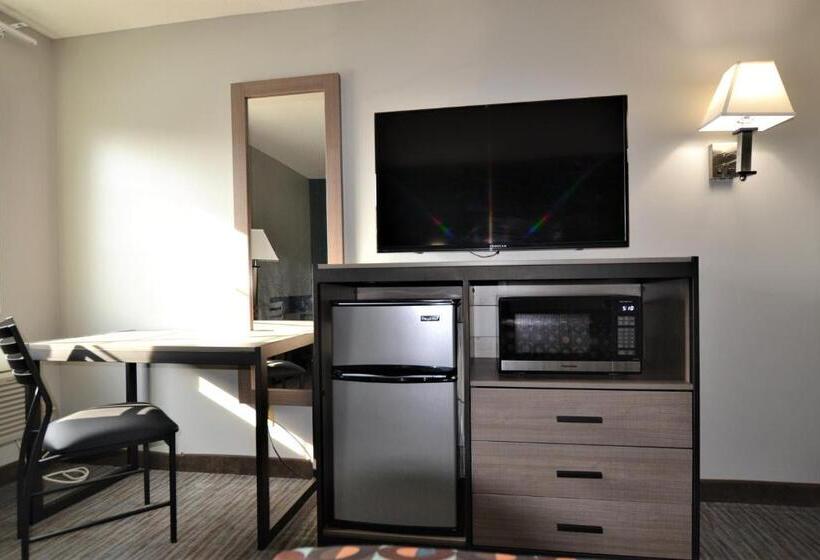 اتاق استاندارد, Countryside Inn & Suites Omaha East Council Bluffs Ia