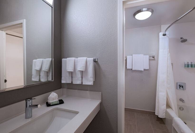 Номер Стандарт 2 Двуспальные Кровати, Courtyard By Marriott Dallas Plano Parkway At Preston Road