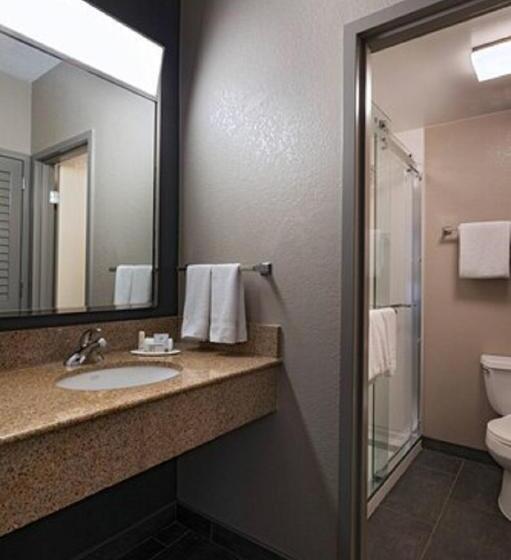 חדר סטנדרט עם מיטת קינג, Courtyard By Marriott San Antonio Medical Center