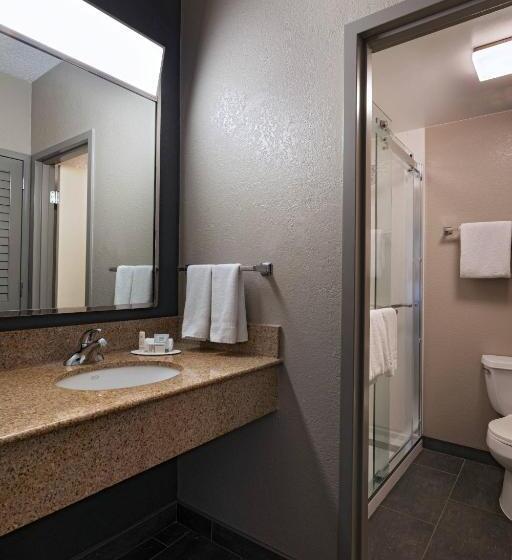 带大床的套房, Courtyard By Marriott San Antonio Medical Center