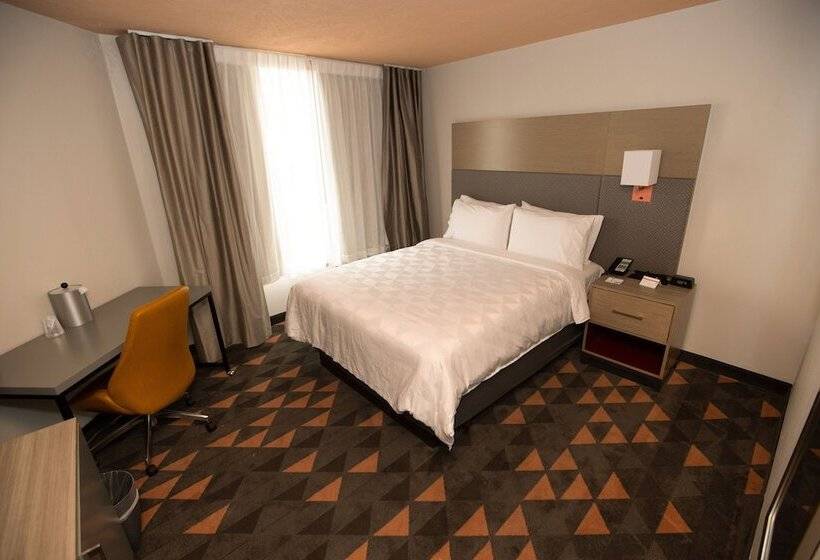 اتاق استاندارد, Holiday Inn Houston Hobby Airport, An Ihg
