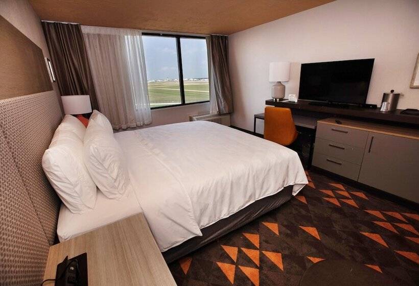 اتاق استاندارد, Holiday Inn Houston Hobby Airport, An Ihg