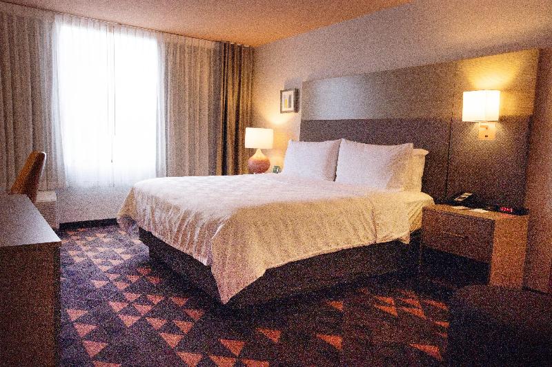 اتاق اجرایی با تخت بزرگ, Holiday Inn Houston Hobby Airport, An Ihg