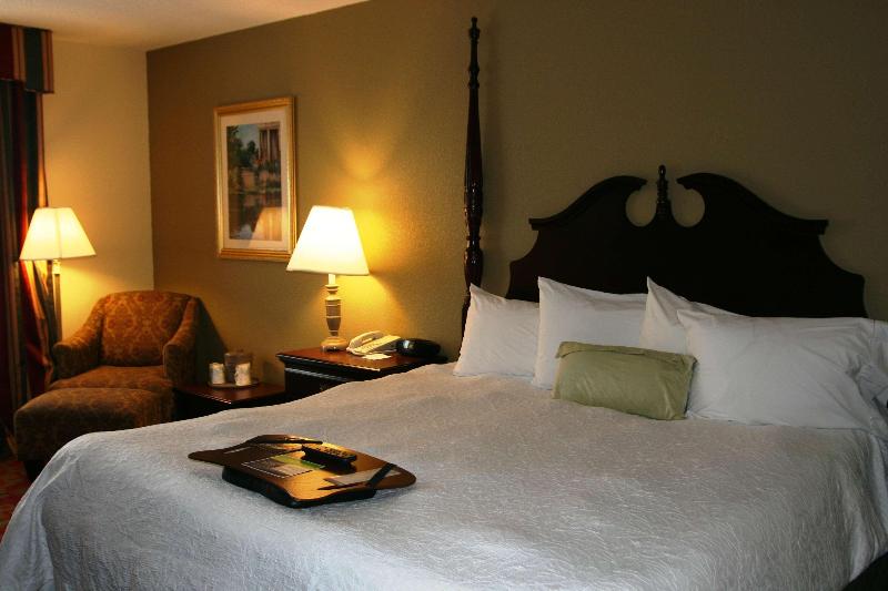 اتاق استاندارد با تخت بزرگ, Holiday Inn Houston Hobby Airport, An Ihg