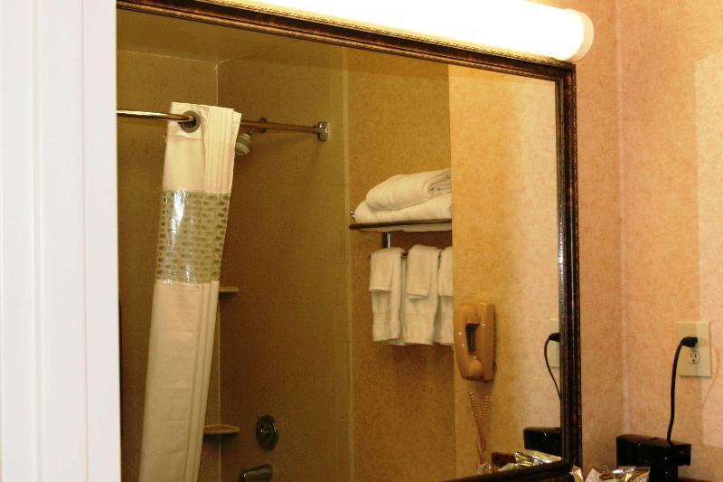 اتاق استاندارد با تخت بزرگ, Holiday Inn Houston Hobby Airport, An Ihg