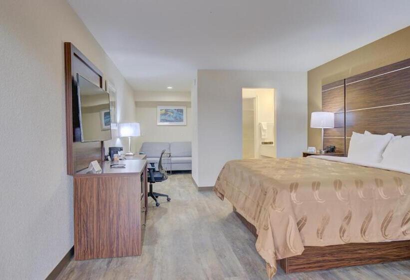 Люкс Deluxe Кровать Кинг, Quality Inn & Suites