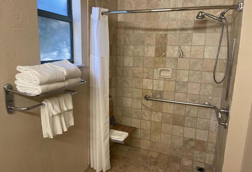 جناح لذوى الاحتياجات الخاصة, Ramada Suites By Wyndham San Diego