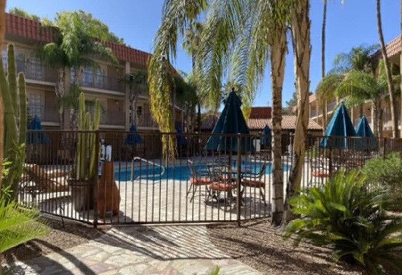 Номер Стандарт Двуспальная Кровать, Doubletree Suites By Hilton Tucson   Williams Center
