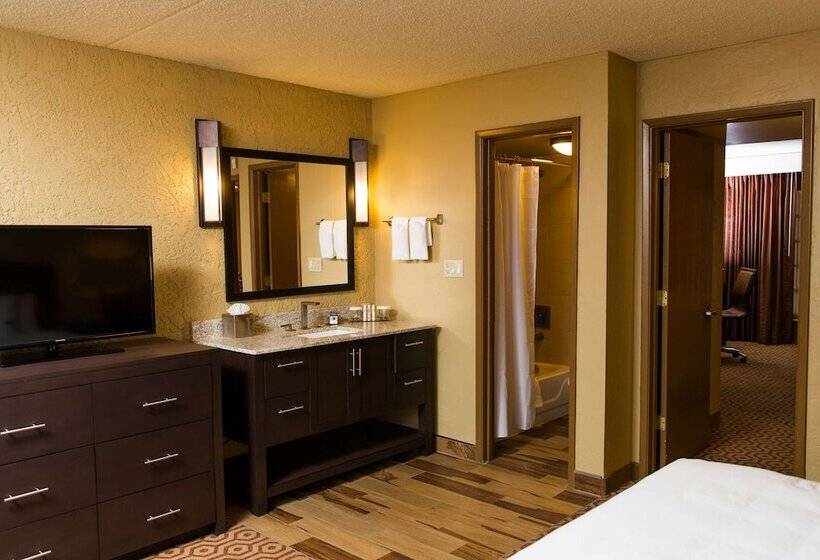اتاق استاندارد با تخت دوبل, Doubletree Suites By Hilton Tucson   Williams Center