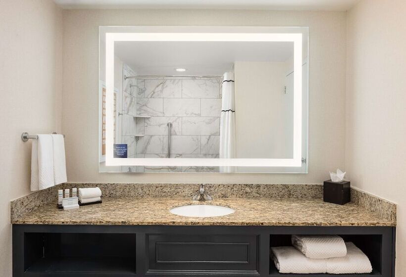 סוויטת 2 חדרי שינה, Embassy Suites By Hilton Atlanta Buckhead