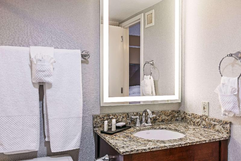 キングサイズベッドのスイートルーム, Embassy Suites By Hilton Dallas Market Center