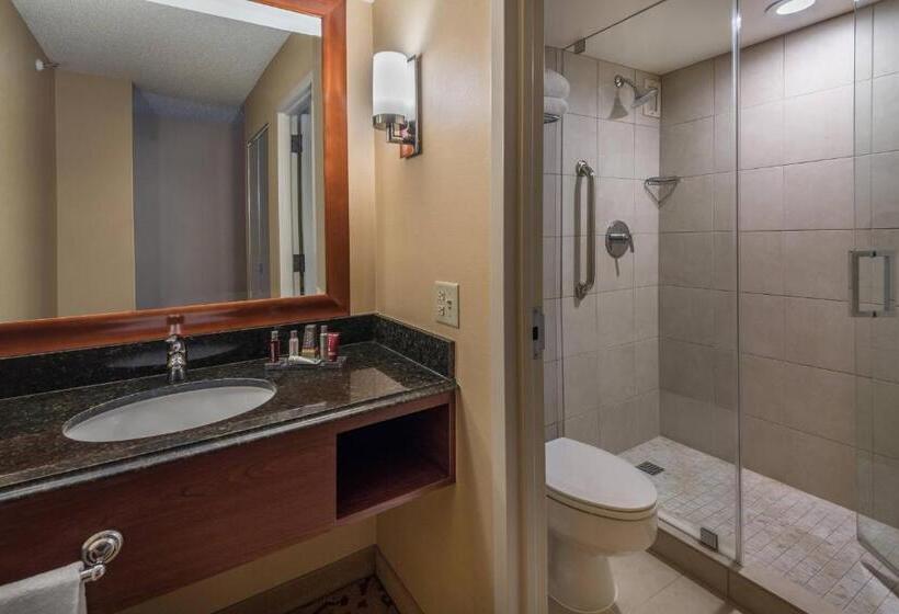 Номер Deluxe, Provo Marriott Hotel & Conference Center