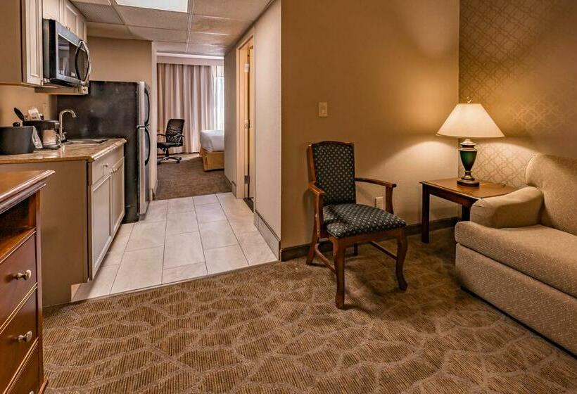스위트 킹사이즈 침대, The English Inn Of Charlottesville