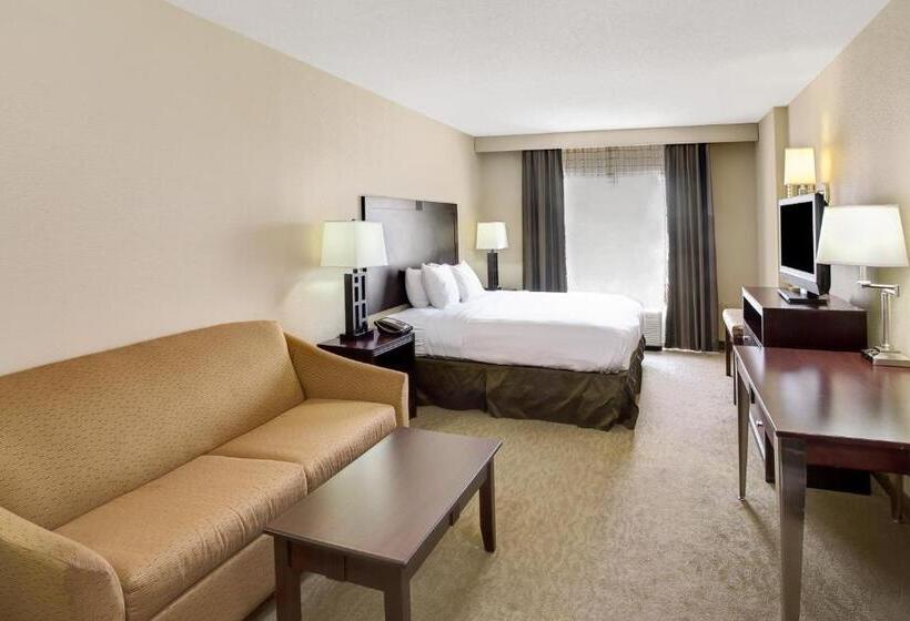 Стандартный Номер Кровать Кинг, Wyndham Garden Duluth