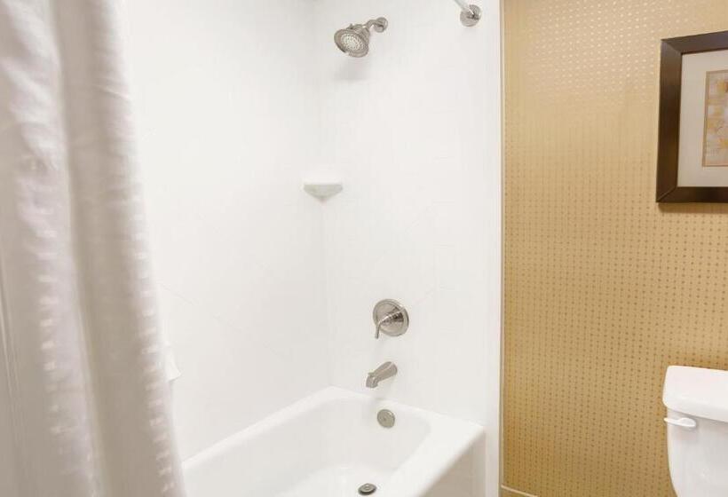 Номер Стандарт, Wyndham Garden Duluth