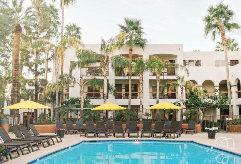 Deluxe-huone, Palm Mountain Resort & Spa
