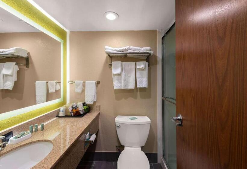 Номер Стандарт 2 Двуспальные Кровати, Best Western Adena Inn