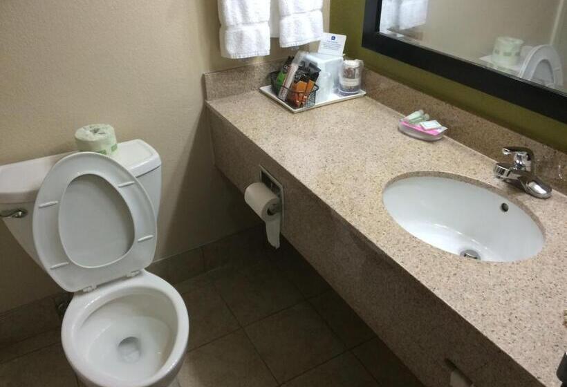 Номер Стандарт Адаптированный для Инвалидов, Best Western Adena Inn