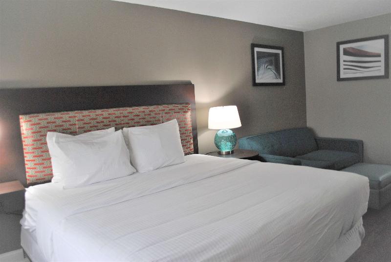 带大床的标准间, Comfort Inn & Suites