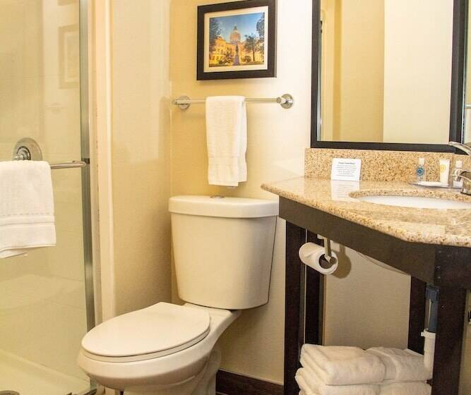 身障者適用ダブルベッド付きスタンダードルーム, Comfort Inn Atlanta Airport