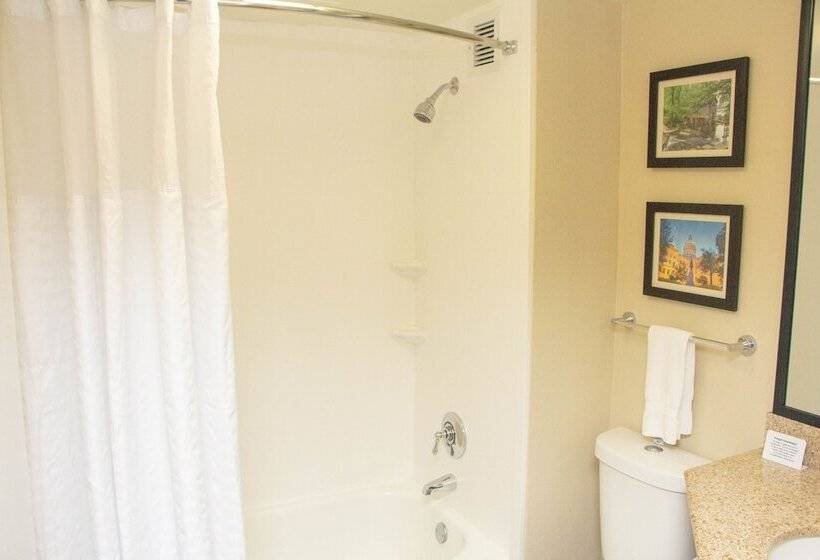 身障者適用ダブルベッド付きスタンダードルーム, Comfort Inn Atlanta Airport
