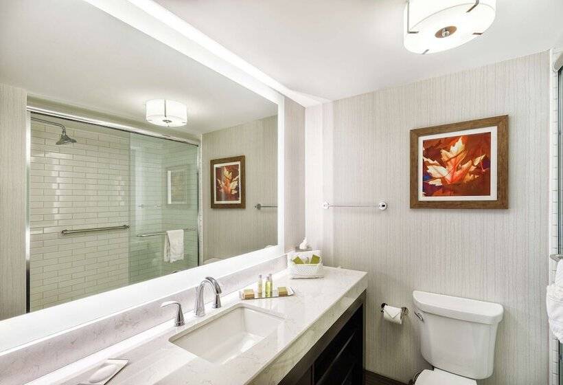 带2个双人床的标准工作室, Doubletree By Hilton Hotel Johnson City
