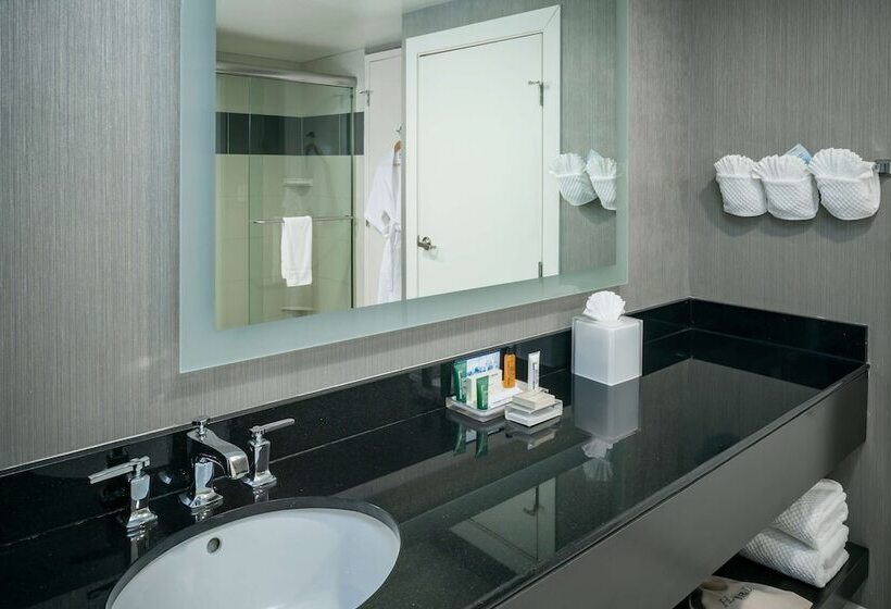 스위트, Hilton Brentwood/nashville Suites