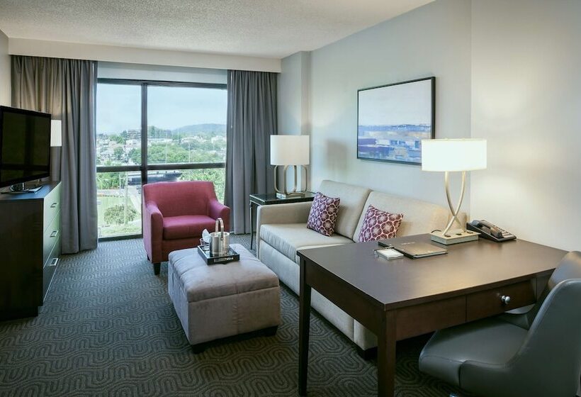 이그제큐티브 룸, Hilton Brentwood/nashville Suites