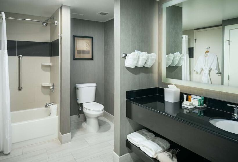 이그제큐티브 룸, Hilton Brentwood/nashville Suites