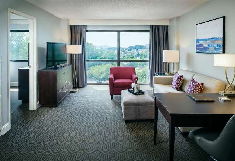 스위트, Hilton Brentwood/nashville Suites