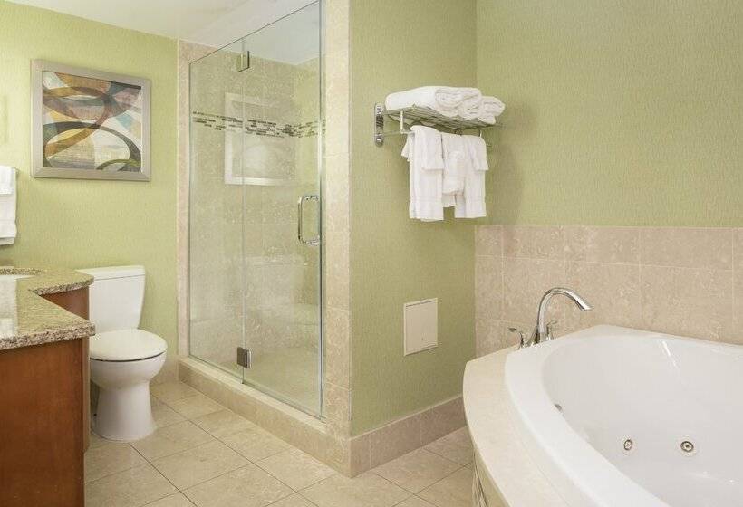 스위트, Holiday Inn Columbia East Jessup, An Ihg