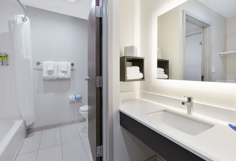 Номер Стандарт 2 Двуспальные Кровати, Holiday Inn Express Detroit Warren/general Motors Technology Center, An Ihg