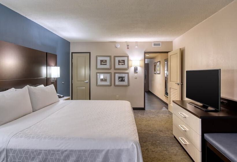 Suite, Holiday Inn & Suites Atlanta Airport North, An Ihg