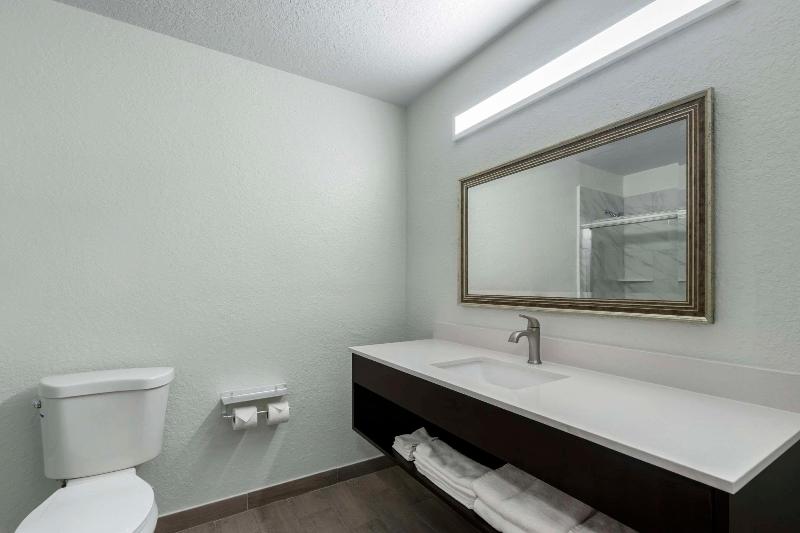 Номер Стандарт Адаптированный для Инвалидов, Holiday Inn Youngstown South   Boardman, An Ihg