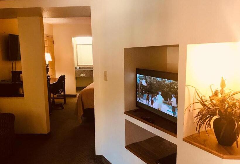Люкс Кровать Кинг, Quality Inn & Suites Conference Center Statesboro Historic District